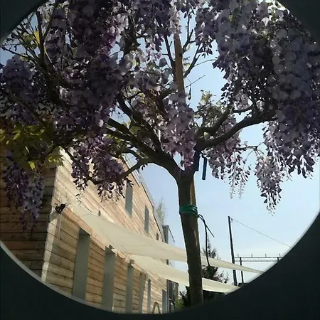 Nocleg ze śniadaniem Via Dei Dori Mirano